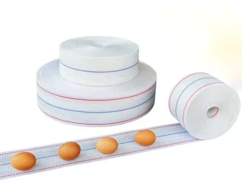 Cinta recoleccion huevos