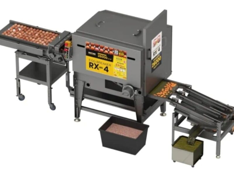 Procesamiento de huevo