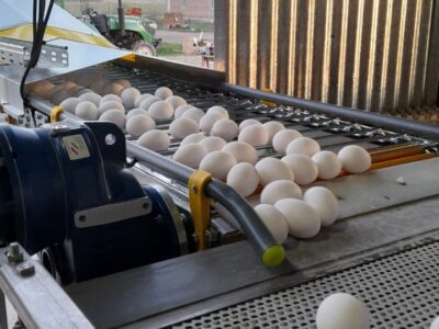 conveyor industria nacion