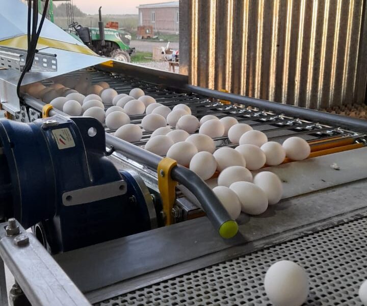 conveyor industria nacion