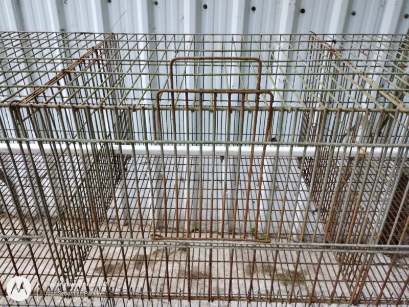 Jaula Recria SCHMIDT