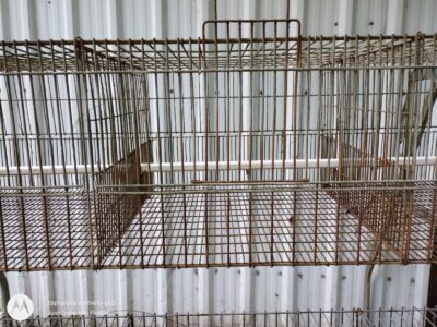 Jaula Recria SCHMIDT