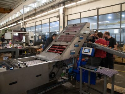 Clasificadora de huevos