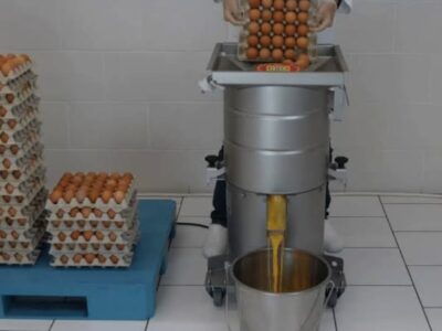 Procesamiento de huevo