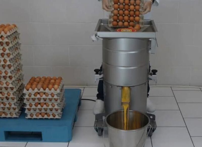 Procesamiento de huevo