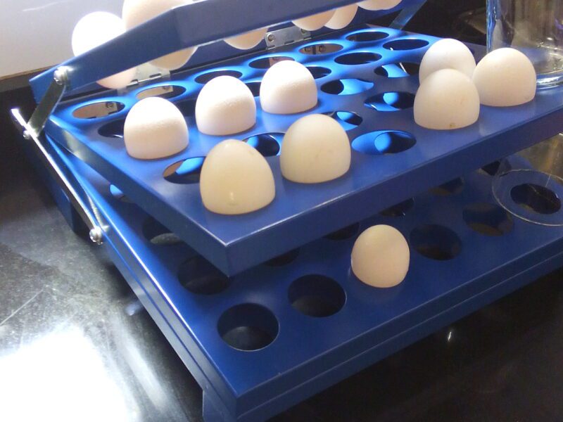 Clasificadora de huevos