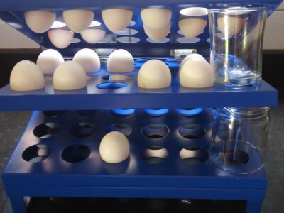 Clasificadora de huevos