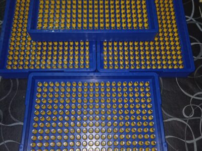 Linea de bebederos LUBING