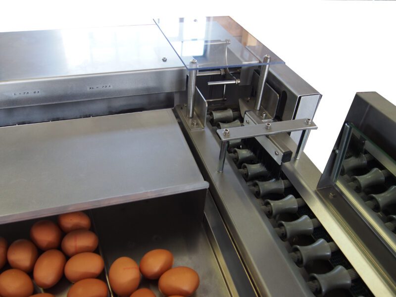 Clasificadora de huevos