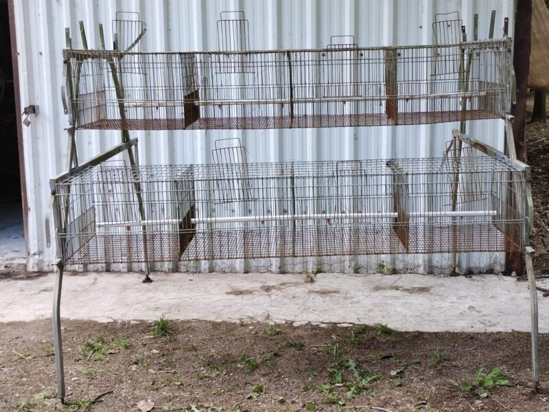 Jaula Recria SCHMIDT