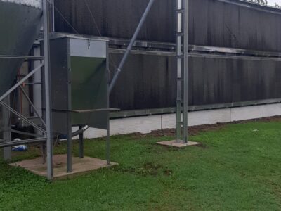 Transferencia de alimento