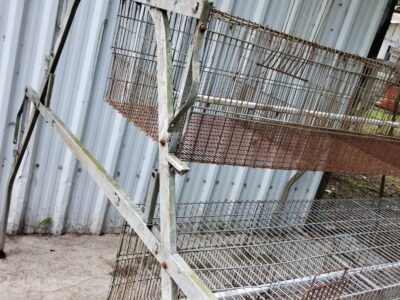 Jaula Recria SCHMIDT