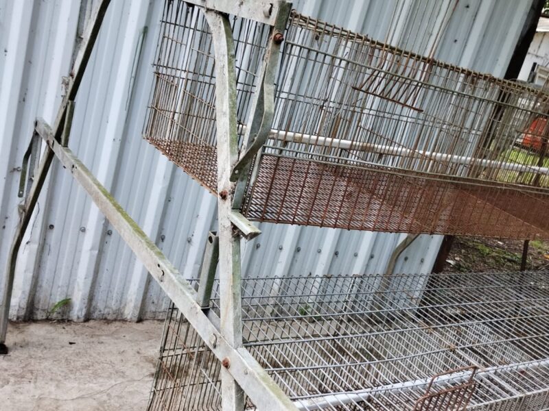 Jaula Recria SCHMIDT