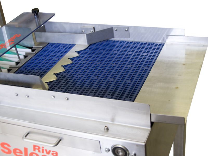 Clasificadora de huevos