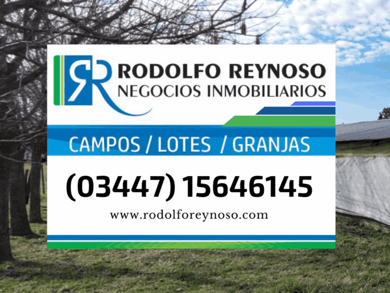 76 ha. en Dto. Uruguay ER