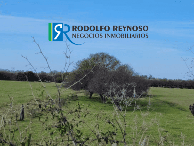 76 ha. en Dto. Uruguay ER