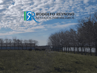 76 ha. en Dto. Uruguay ER