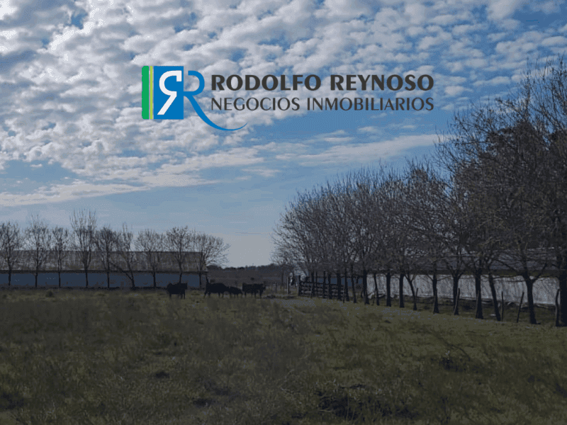 76 ha. en Dto. Uruguay ER