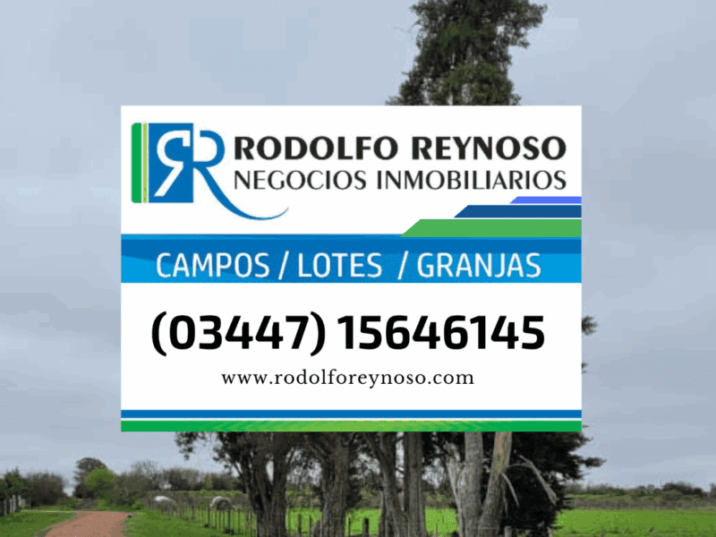 Rodolfo Reynoso CAMPOS