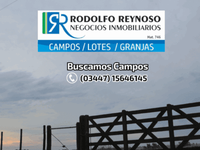 450 ha. sobre Ruta Prov.