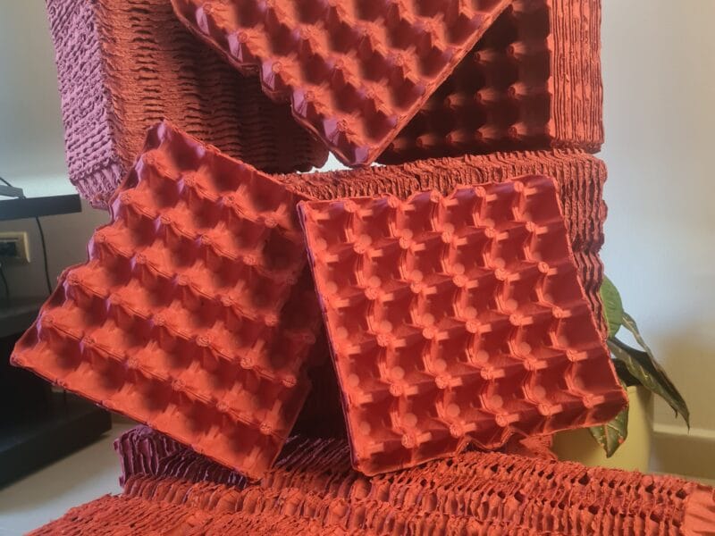 Maples carton para huevo