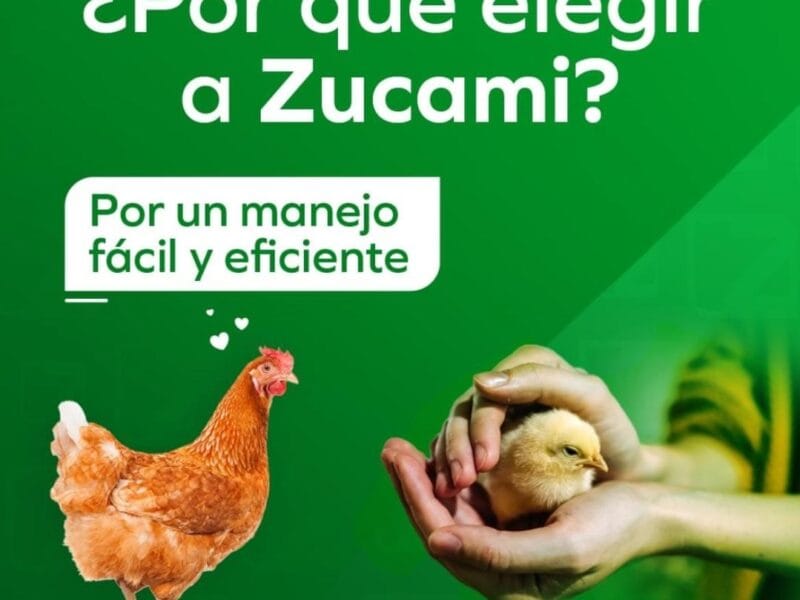 ZUCAMI EQUIPAMIENTO AVICOLA