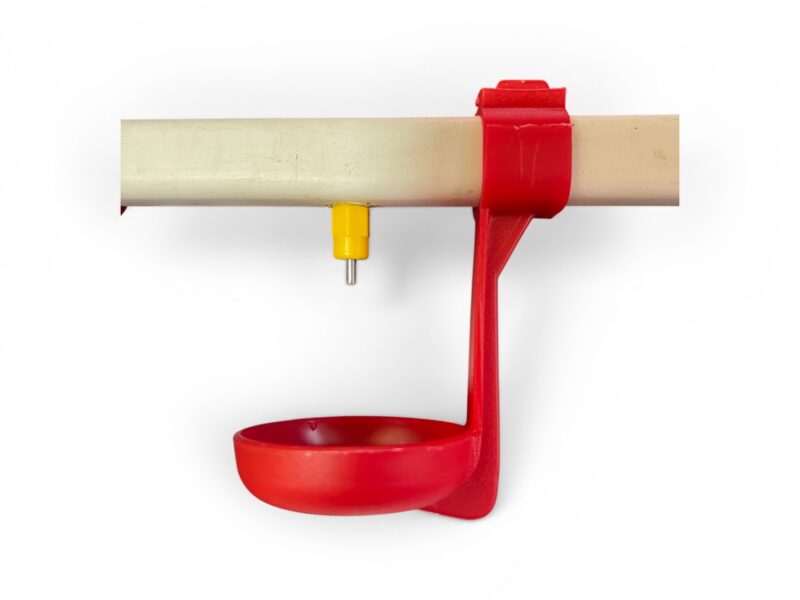 Tazas recuperadoras