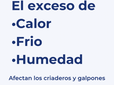 Poliuretano expandido