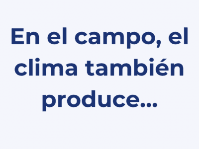 Poliuretano expandido
