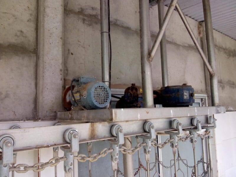 Vendo frigorífico de pollos!