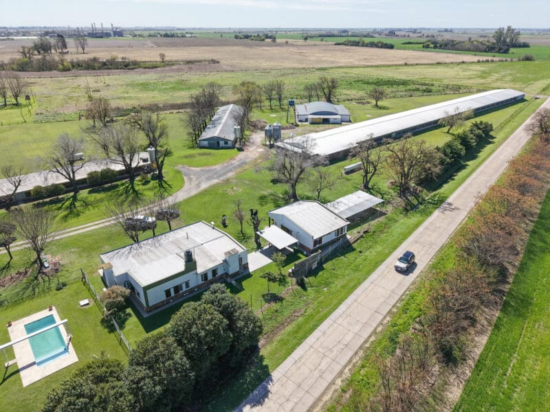 Granja Avicola de engorde de pollos