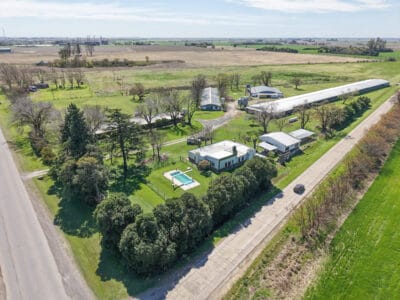 Granja Avicola de engorde de pollos